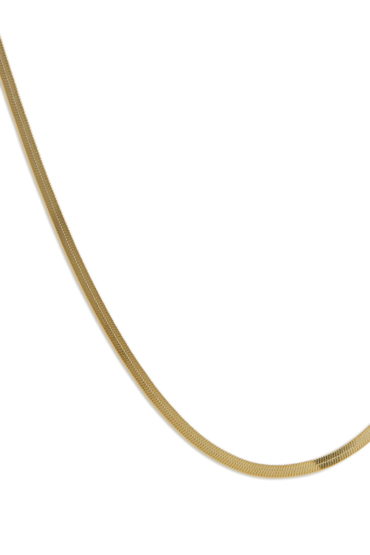Collier Snake or 2