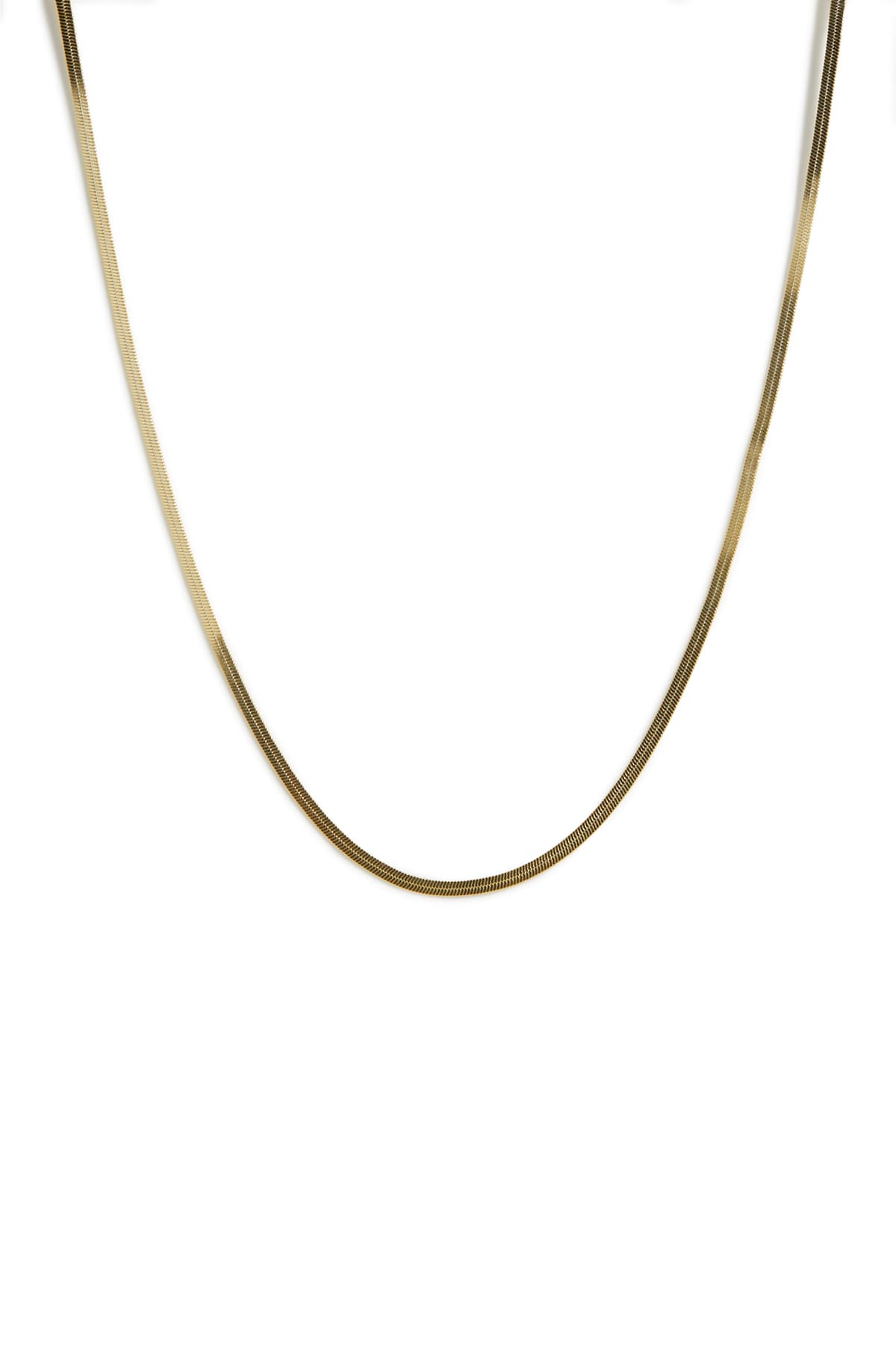 Collier Snake or